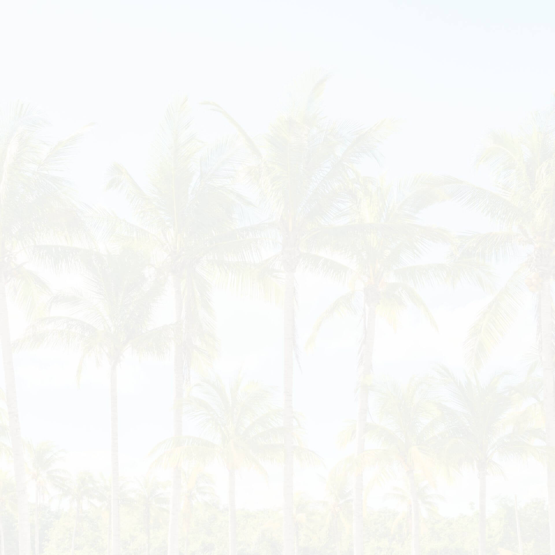 landscaping Belmont MA