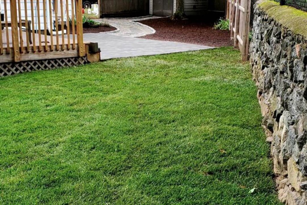 stone walkway landscaping