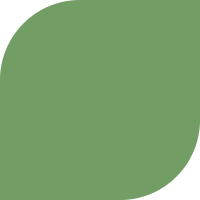 landscape project Mendoza Landscaping