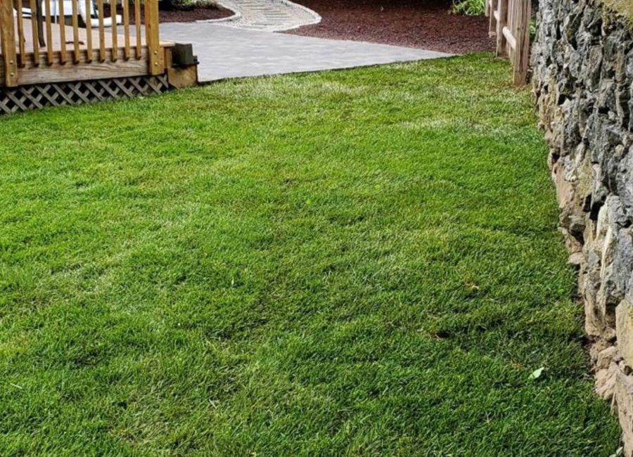 hardscaping service Belmont